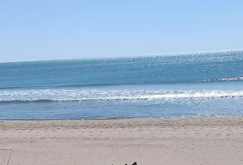 Apartment 1 bedroom Marseillan