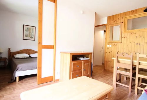 Apartment 1 bedroom Puy-saint-vincent