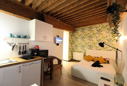Appartement 1 chambre Lyon