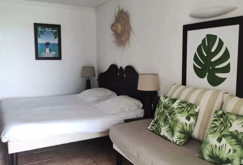 Apartment 1 bedroom Sainte-luce