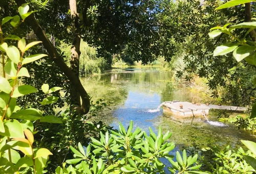 Apartment 1 bedroom Six-fours-les-plages