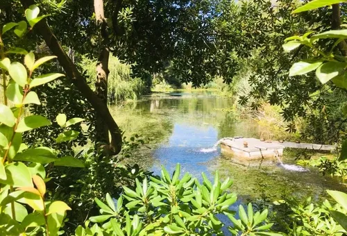 Apartment 1 bedroom Six-fours-les-plages