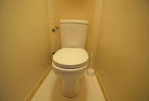Apartment 1 bedroom Les Belleville