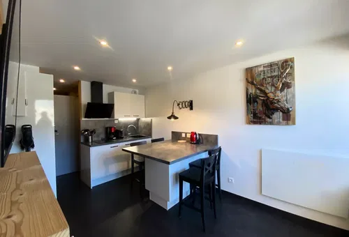 Apartment 1 bedroom Les Belleville