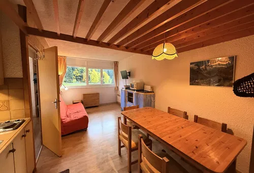 Apartment 1 bedroom Villard-de-lans