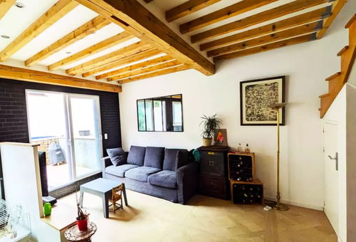 Apartment 3 bedroom Lyon