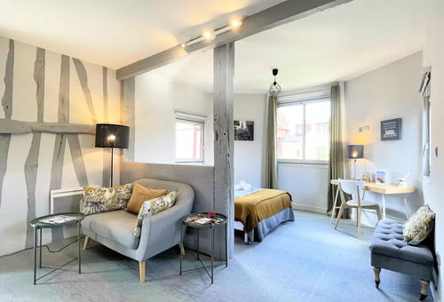 Apartment 1 bedroom Rouen