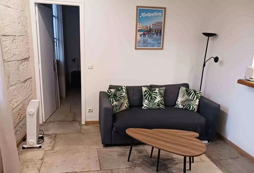 Apartment 1 bedroom Montpellier