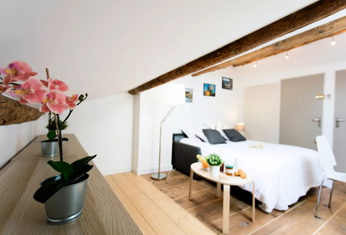 Apartment 1 bedroom 
