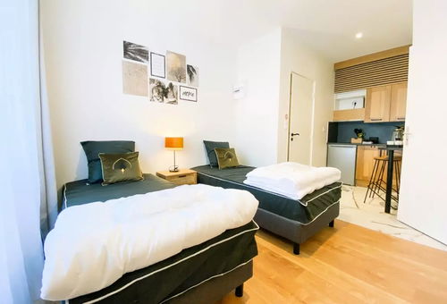Appartement 1 chambre Saint-martin-le-vinoux