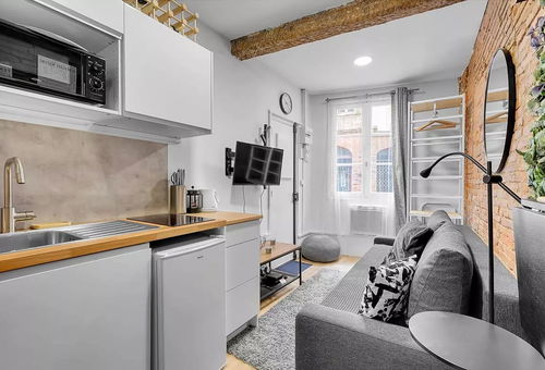Apartment 1 bedroom Toulouse