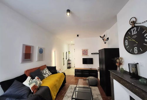 Apartment 1 bedroom Toulouse