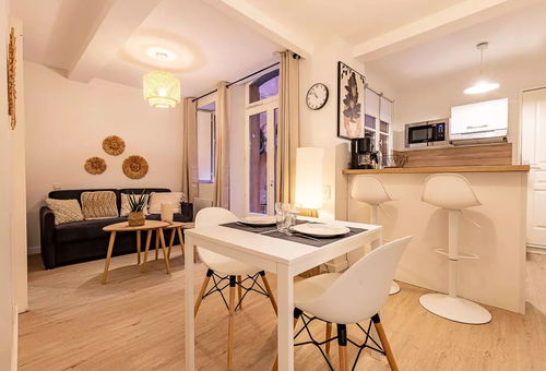 Apartment 1 bedroom Toulouse