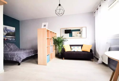 Apartment 1 bedroom Villeurbanne