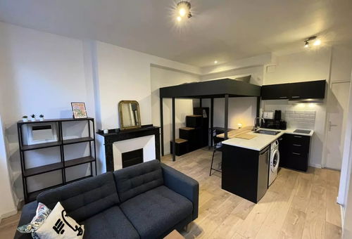 Apartment 1 bedroom Toulouse
