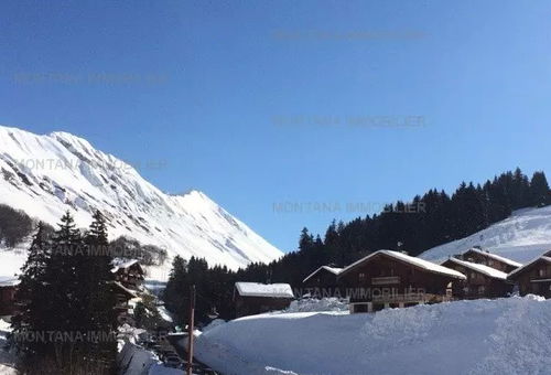 Appartement 1 chambre Le Grand-bornand