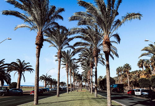 Apartment 3 bedroom Las Palmas De Gran Canaria