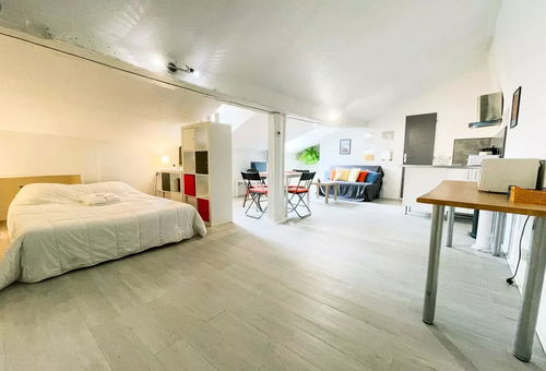 Apartment 1 bedroom Grenoble
