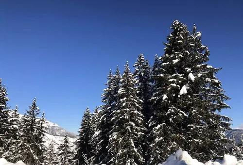 Apartment 1 bedroom Les Avanchers-valmorel