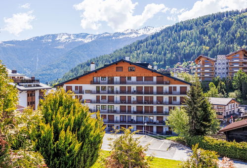 Apartment 3 bedroom Nendaz