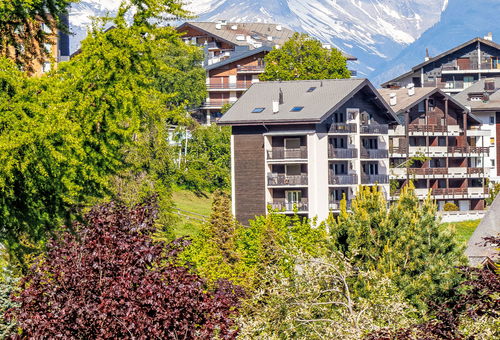Apartment 1 bedroom Nendaz