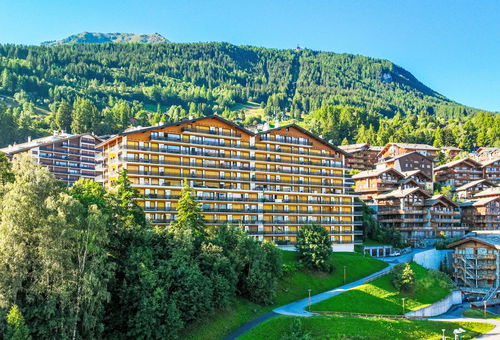 Apartment 1 bedroom Nendaz