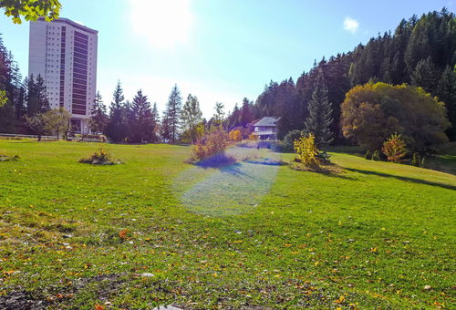 Apartment 1 bedroom Crans-montana
