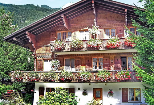 Appartement 1 chambre Grindelwald