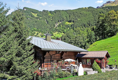 Appartement 1 chambre Grindelwald