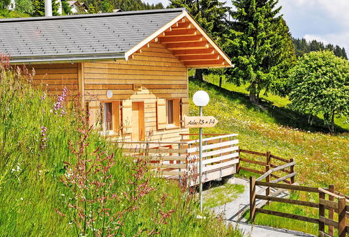 Villa 2 bedroom Urmein