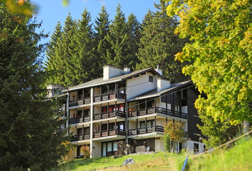 Apartment 2 bedroom Gryon