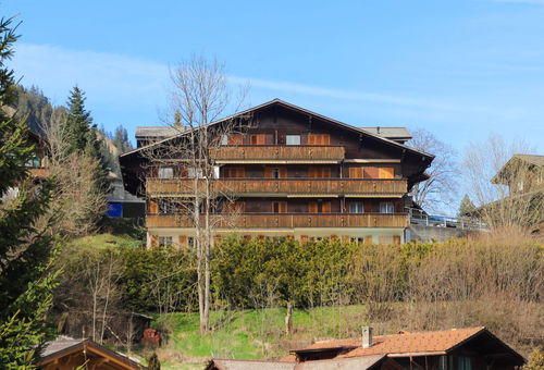 Apartment 3 bedroom Zweisimmen