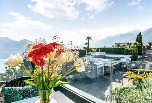 Apartment 1 bedroom Ascona