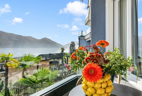 Appartement 1 chambre Ascona