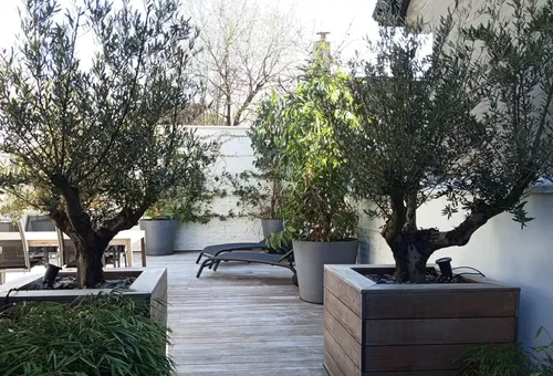 Maison 4 chambres Cucq