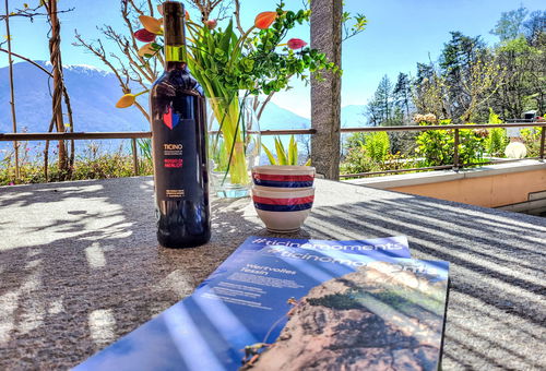 Appartement 2 chambres Orselina