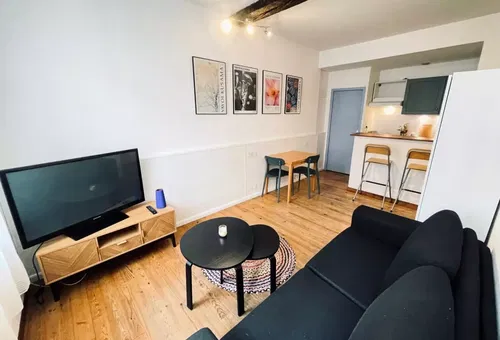 Apartment 1 bedroom Toulouse