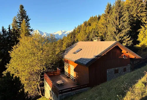 Chalet 4 Zimmer Peisey-nancroix