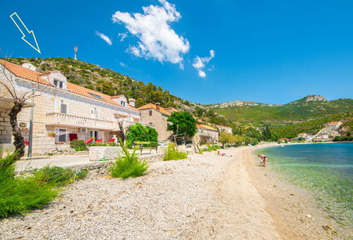Appartement 1 chambre Trstenik