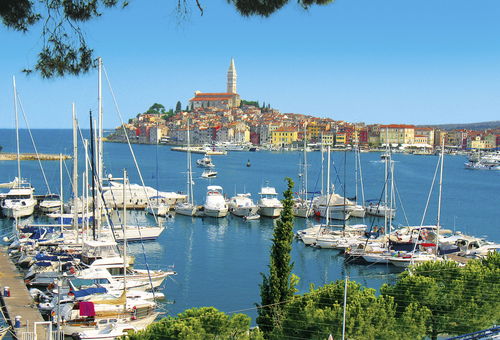 Apartment 1 bedroom Rovinj
