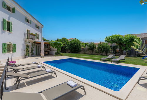 Villa 4 bedroom Višnjan