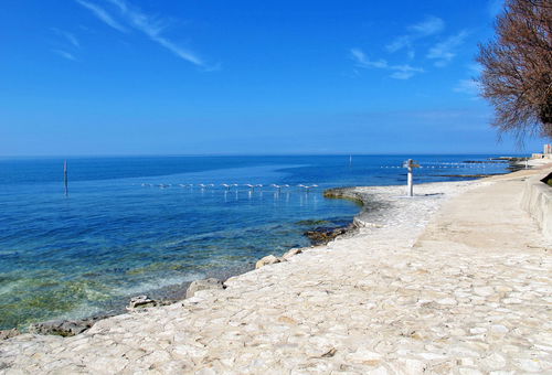 Villa 4 bedroom Novigrad