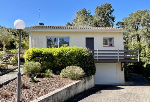 CHENES VERTS - 532861