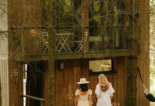 Lodge atypique avec spa privatif pour un séjour bien-être - PALAZINGES