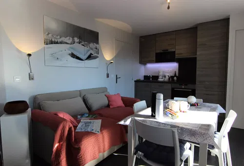 Apartment 1 bedroom Les Belleville