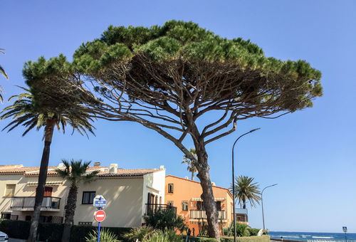 Apartment 1 bedroom Sainte-maxime
