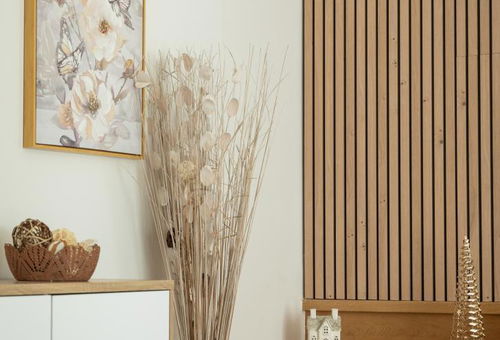 House in the countryside, yet just a stone&#39;s throw from Sarlat town...