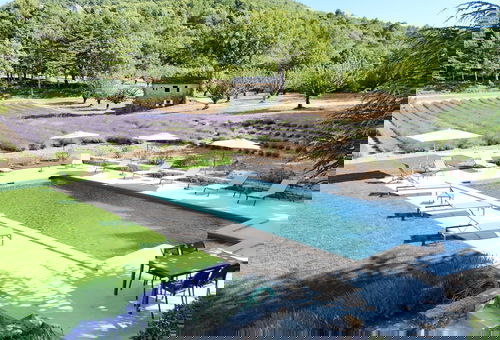 Bastide de l'Esclat - Pool - lavender fields