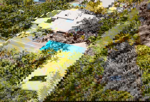 Iguana Home