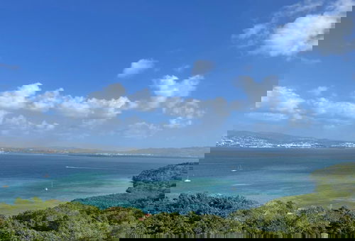 The View